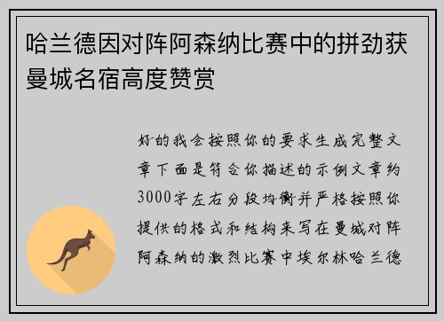 哈兰德因对阵阿森纳比赛中的拼劲获曼城名宿高度赞赏